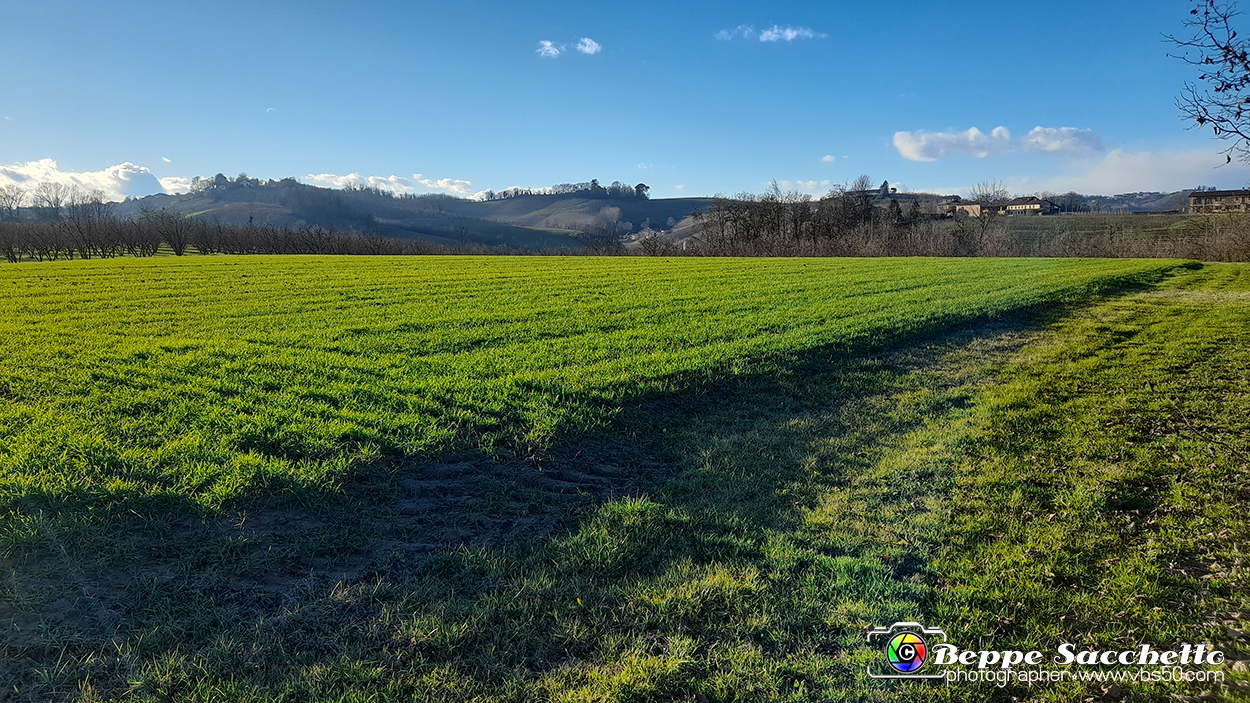 20230109_154034 - Dalla terra... il grano.jpg